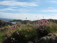 Sommerinseln