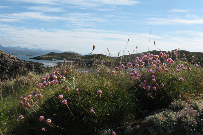 Summer Isles – Kanadan seikkailu -projekti