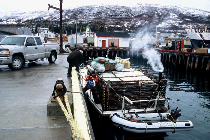 Gypsy Life – Kanadan seikkailu -projekti