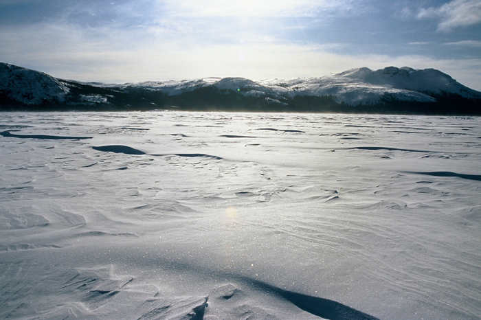 Foto der Expedition