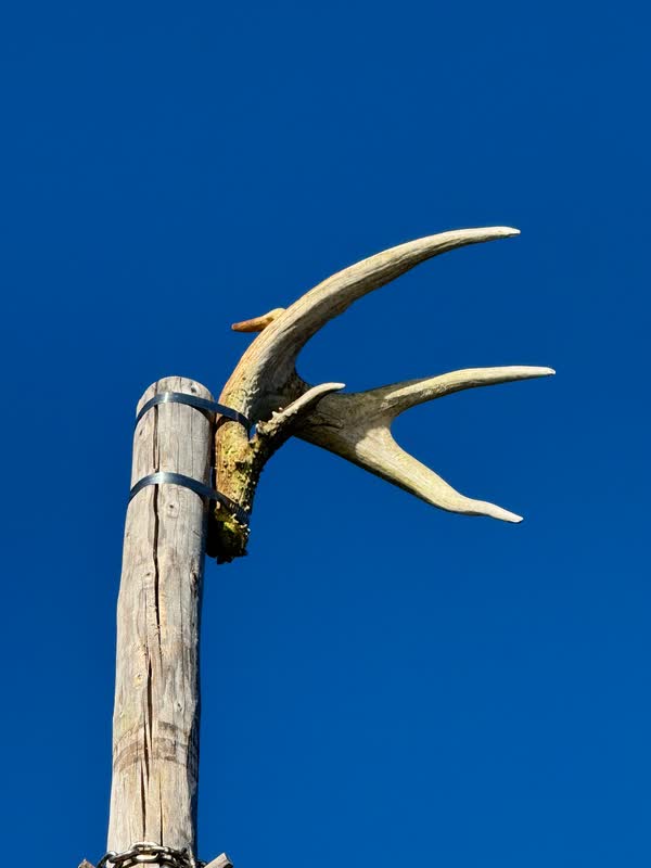 Deer antlers at the top of the mast against a deep blue sky