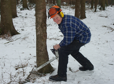 Paul-puu – Puunkaato