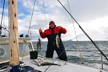 Harald Paul