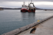 Trawler