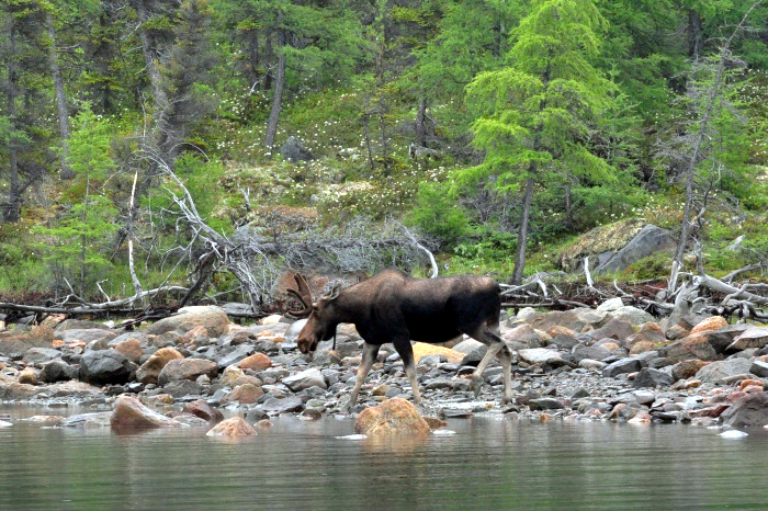 Alaska