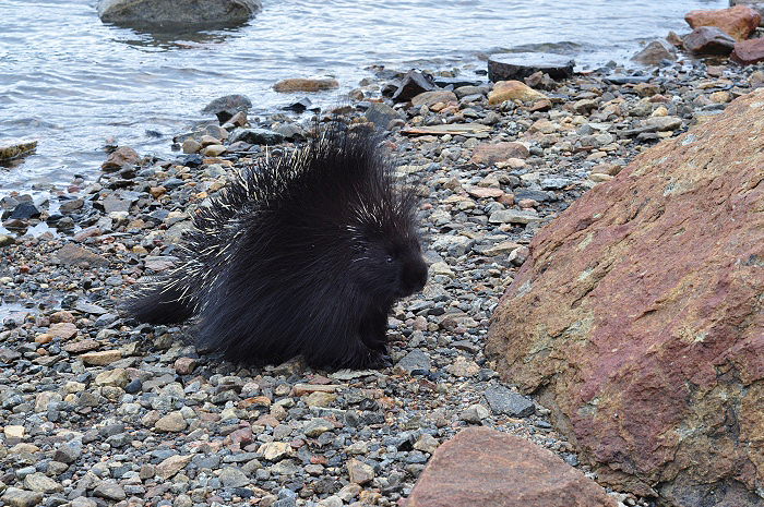 Alaska