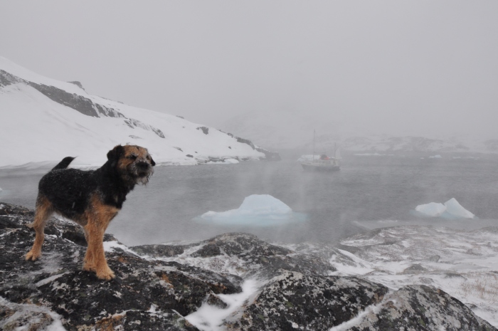 Alaska