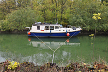 Gypsy Life – Heiß statt Eis