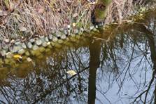 braunes Wasser – Heiß statt Eis