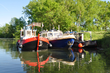 Gypsy Life – Heiß statt Eis