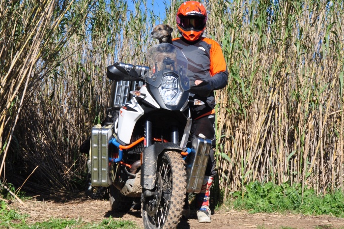 Harald Paul Motorrad – Heiß statt Eis
