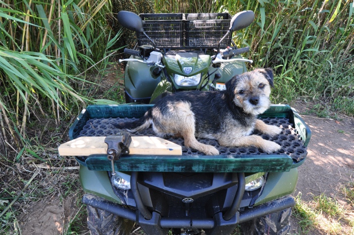 ATV – Heiß statt Eis