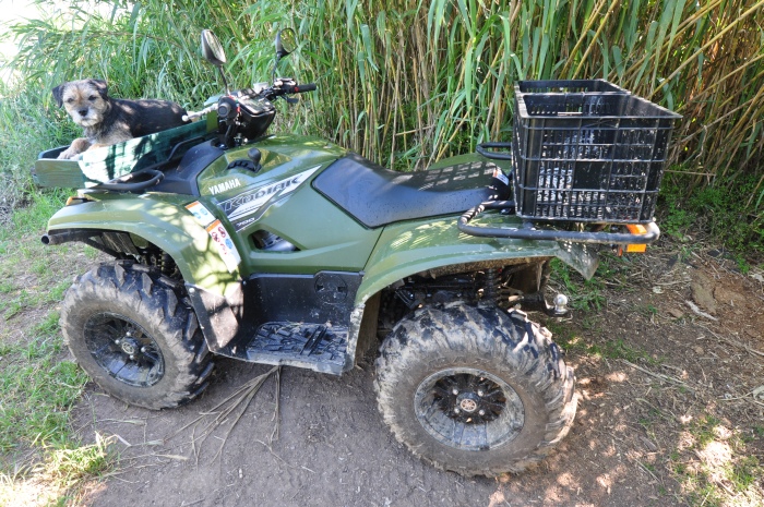 ATV – Heiß statt Eis