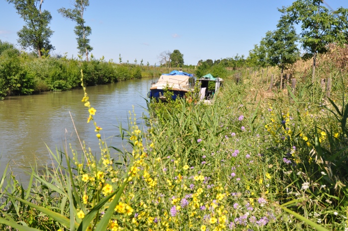 Gypsy Life – Heiß statt Eis