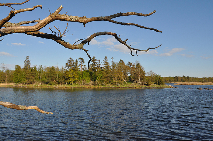 Karelia