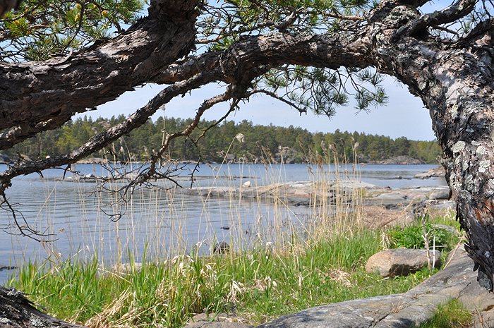 Karelia