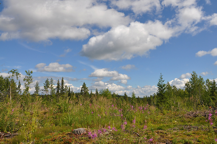 Karelia