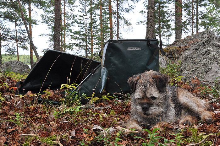 Karelia