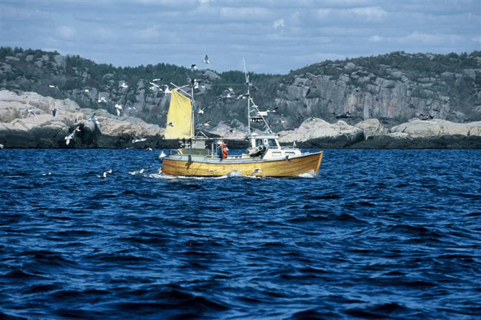 Norwegen Fischerboot – Expedition Eis