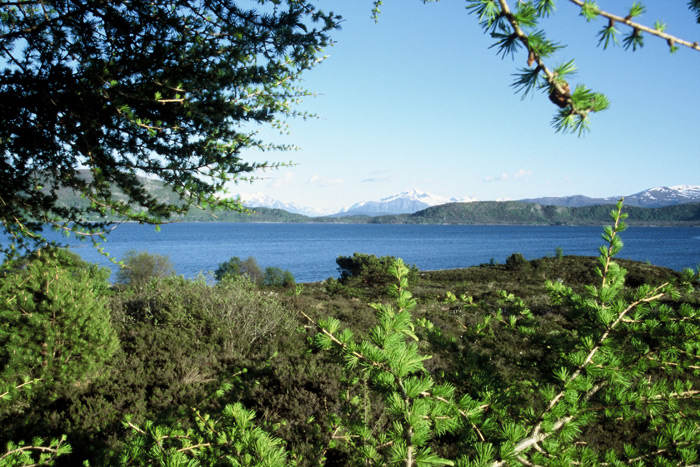 Norwegen Ålesund – Expedition Eis