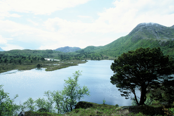 Norwegen Polarkreis – Expedition Eis