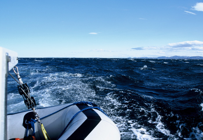 Andenes Vesteralen – Expedition Eis