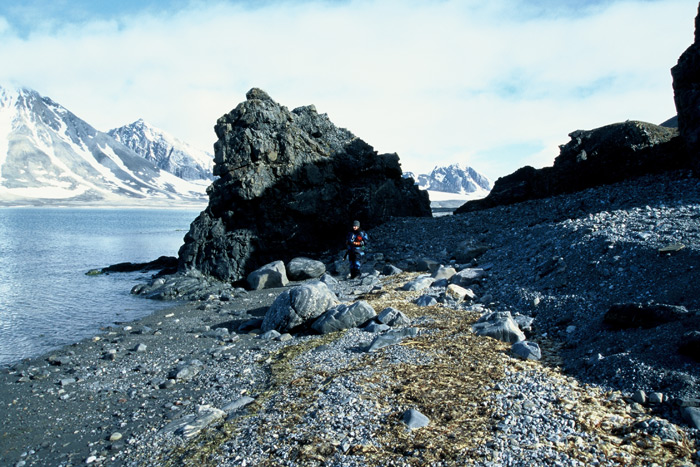 Spitzbergen Gåshamna Bucht – Expedition Eis