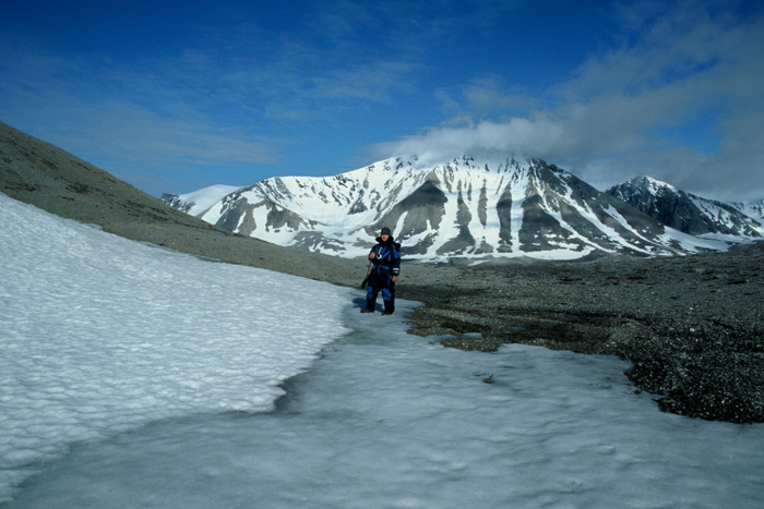 Spitzbergen Gåshamna Bucht4 – Expedition Eis