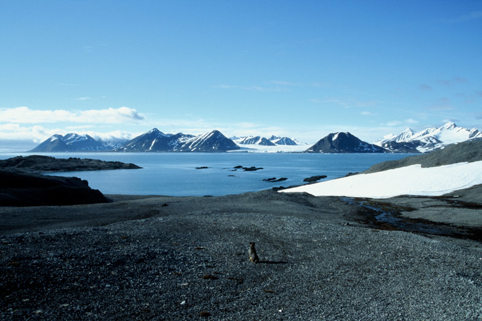 Spitzbergen Gåshamna Bucht5 – Expedition Eis