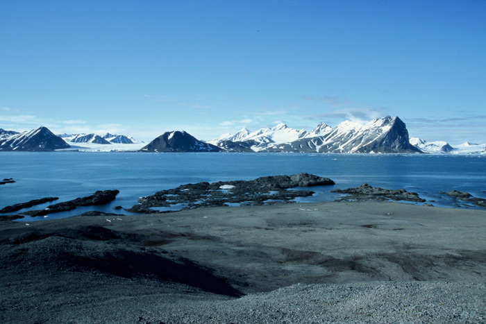 Spitzbergen Gåshamna Bucht6 – Expedition Eis