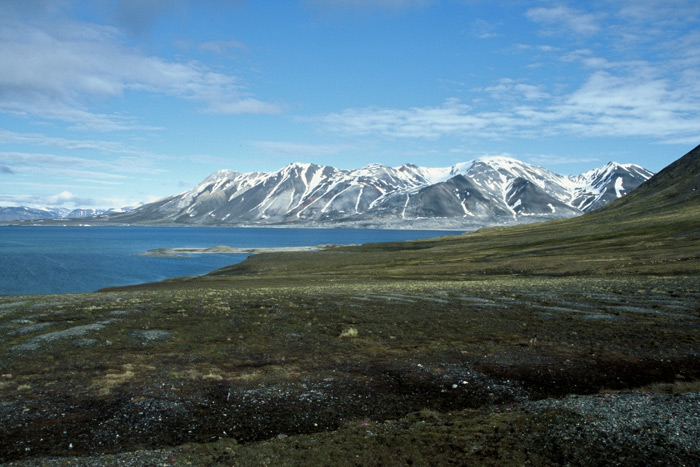 Spitzbergen Kap Toscana – Expedition Eis