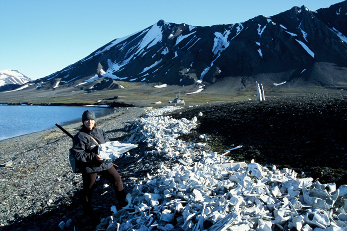 Van Keulen Fjord1 – Expedition Eis