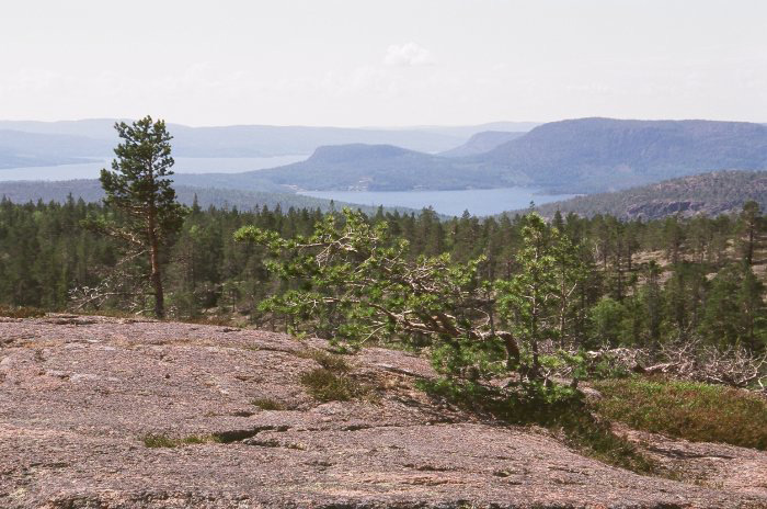 Schwedisch Schärengärten – Tour Lappland