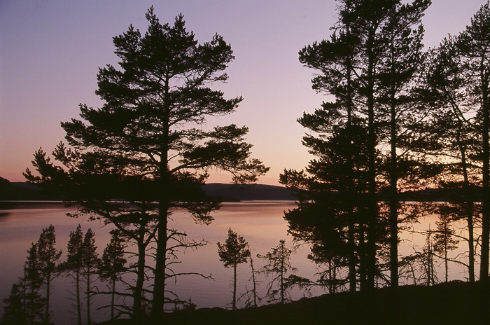 Schweden Abendstimmung – Tour Lappland